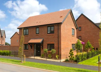Showhome Photography