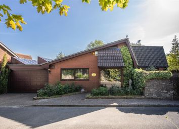 Thumbnail Bungalow for sale in Belfry Orchard, Uckfield