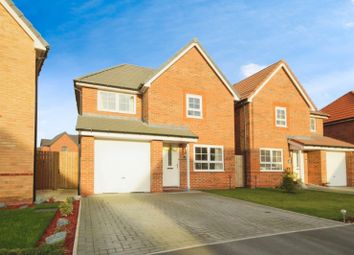 Thumbnail Detached house to rent in Blenheim Avenue, Brough, East Riding