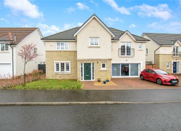 Thumbnail Detached house for sale in Powlees Place, Kinnaird, Larbert