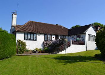 Property Details For 6 The Close Huggetts Lane Eastbourne Bn22 0lj