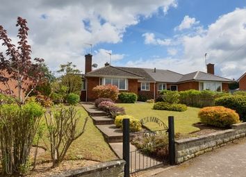 2 Bedroom Bungalow for rent