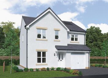 Thumbnail 4 bedroom detached house for sale in "Hazelwood Det" at Main Road, Maddiston, Falkirk