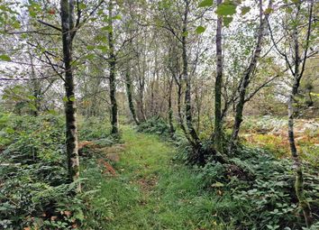 Thumbnail Land for sale in Land Off Chapel Lane, Llanteg, Narberth