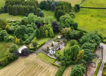 Dji_20240412040543_0135_D.Jpg