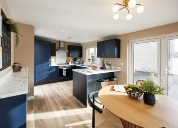 Spruce Kitchen 4