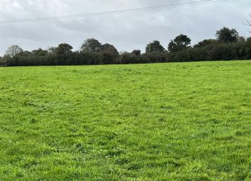 Thumbnail Land for sale in 18.08 Acres Of Land, Buildings And Castle Pride Kennels, Little Newcastle, Haverfordwest