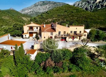 Thumbnail 10 bed property for sale in Perpignan, 66720, France, Languedoc-Roussillon, Perpignan, 66720, France