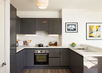 Straight-On Kitchen Photograph