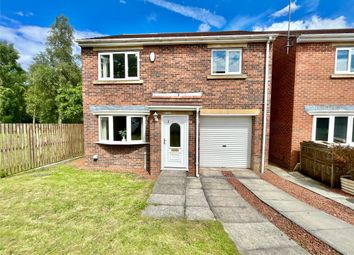 Thumbnail 4 bed detached house for sale in Sea View, Windy Nook, Gateshead