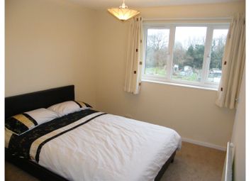 1 Bedroom  for rent