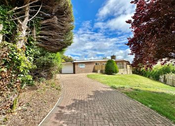 Thumbnail Bungalow for sale in Lindsay Close, Summerdown, Eastbourne, East Sussex