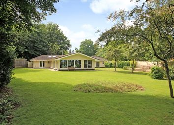 Thumbnail 5 bed bungalow for sale in The Street, Brooke, Norwich, Norfolk