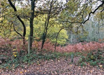 0 Bedroom Land for sale