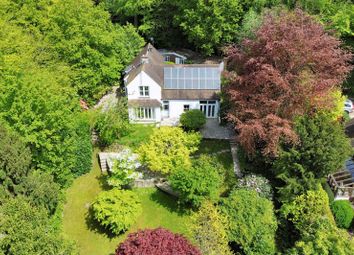 Thumbnail 4 bed detached house to rent in Marley Lane, Haslemere