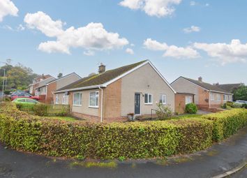 Thumbnail 3 bed semi-detached bungalow for sale in Chapel Lands, Alnwick