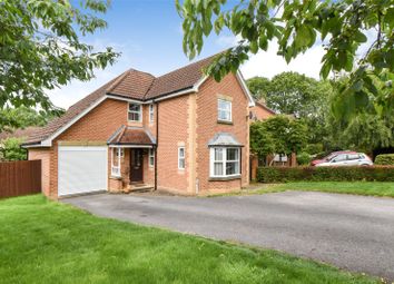Thumbnail 4 bed detached house for sale in Shaw Pightle, Hook, Hampshire