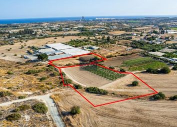 Thumbnail Land for sale in Kalavasos, Cyprus