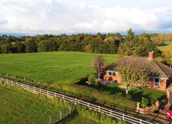 4 bed detached bungalow for sale in Winslade Park Avenue, Clyst St. Mary, Exeter EX5