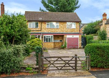 Thumbnail Detached house for sale in Manor Road North, Esher