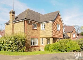 5 Bedroom Detached house for rent