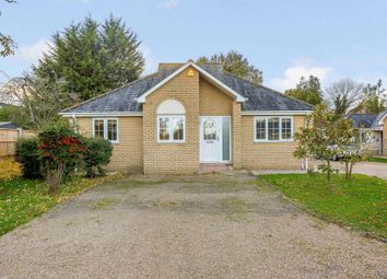 Thumbnail 3 bed detached bungalow for sale in Catcher Court, Ingatestone