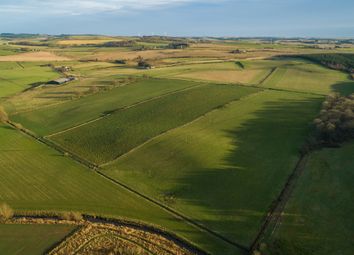 Thumbnail Land for sale in Ellon, Aberdeenshire