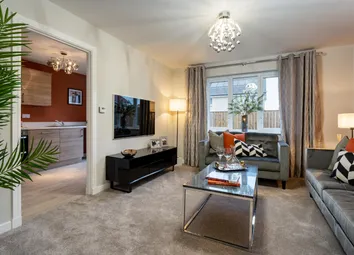 Showhome Photography