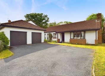 Thumbnail Detached bungalow for sale in Hazel Close, Newton Poppleford, Sidmouth