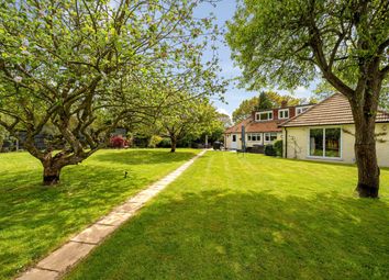 Thumbnail Bungalow for sale in Nine Mile Ride, Finchampstead, Wokingham, Berkshire