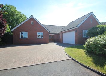 Thumbnail 5 bed bungalow for sale in Burghill, Hereford