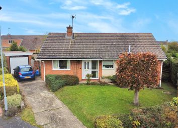 Thumbnail 3 bed bungalow for sale in Petit Close, Cefn-Y-Bedd, Wrexham, Flintshire