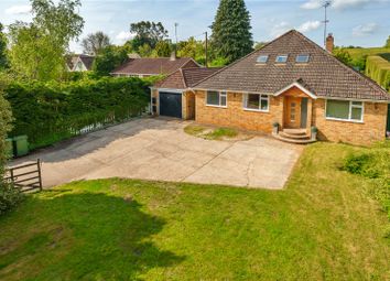 Thumbnail 4 bed bungalow for sale in Lymington Bottom, Four Marks, Hampshire