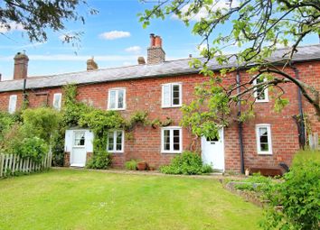 Thumbnail 2 bed terraced house to rent in The Street, South Harting, Petersfield, Hampshire