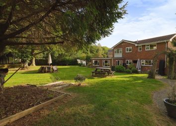 Thumbnail Detached house for sale in The Spinney, Hassocks