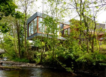 233350 - P1000466 Copy.Jpg