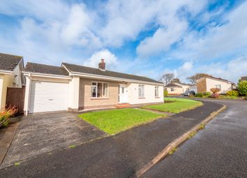 Thumbnail 3 bed detached bungalow for sale in The Vineyards, Holsworthy