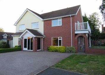 Thumbnail Detached house to rent in Folly Lane, Holmer, Hereford
