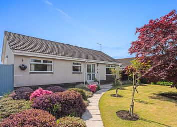 Thumbnail Detached bungalow for sale in 60 The Loaning, Alloway, Ayr