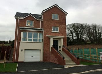 Thumbnail 4 bed detached house for sale in Millreagh Development, Carrowreagh Road, Dundonald