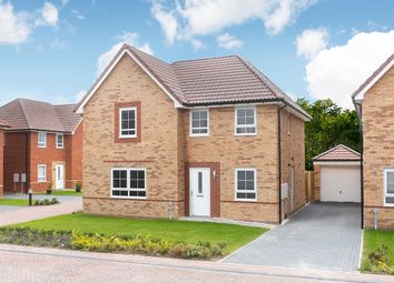 Thumbnail 4 bedroom detached house for sale in "Radleigh" at Blenheim Avenue, Brough