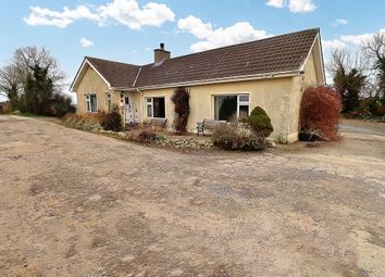 Thumbnail Cottage for sale in Cochranes Lane, Newtownards