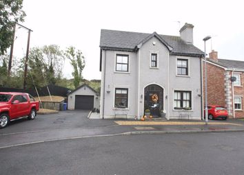 Ballynahinch - Detached house for sale