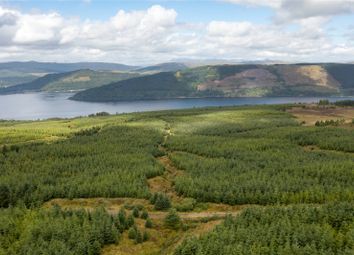 Thumbnail Land for sale in St. Catherines Forest, Cairndow, Cowal Peninsula, Argyll &amp; Bute