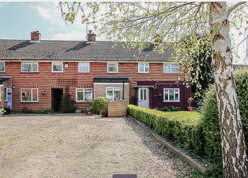 Thumbnail Terraced house to rent in Ditton Green, Woodditton, Newmarket