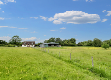 Thumbnail Detached house for sale in House, Outbuilding &amp; 13 Acres, Preston-On-Wye, Hereford
