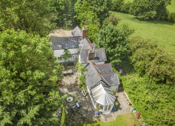 Dji_00031.Jpg