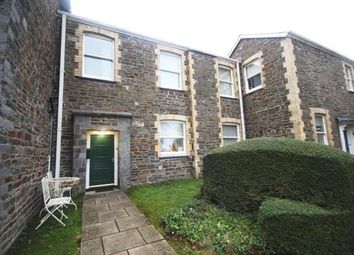 Thumbnail Room to rent in Bryn Ardwyn, Aberystwyth