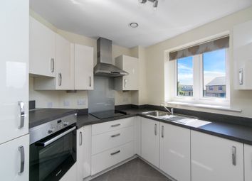 Typical Kitchen