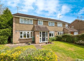 Thumbnail Semi-detached house for sale in Wych Elms, Park Street, St. Albans